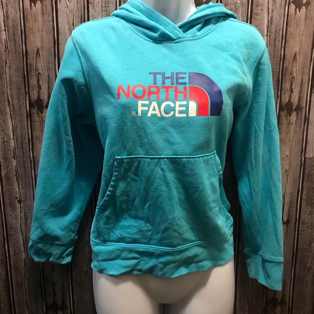 C4 the north face hoodie